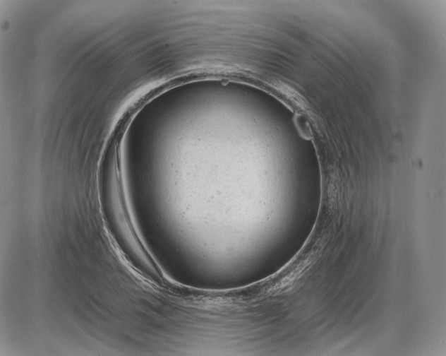 X0000085011030200703191110