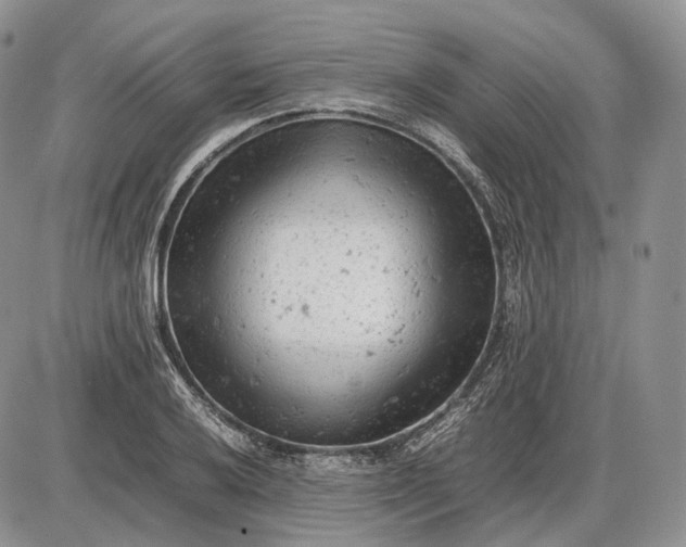 X0000085011032200703191110