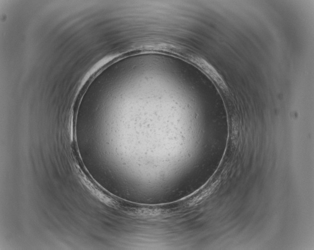 X0000085011036200703191110