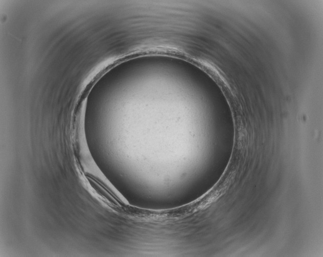 X0000085011038200703191110