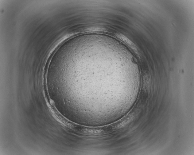 X0000085011039200703191110