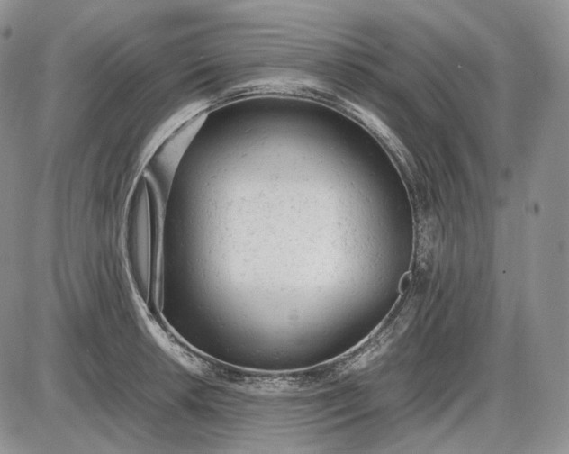 X0000085011042200703191110