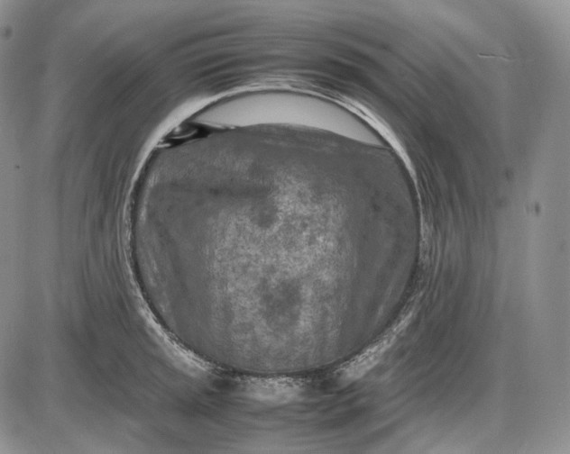 X0000085011045200703191110