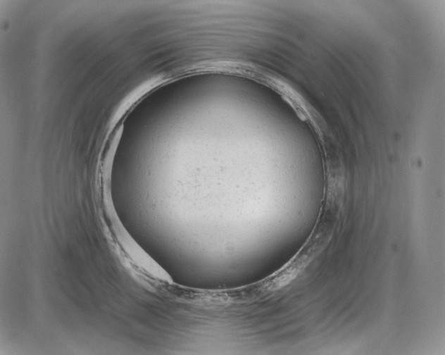 X0000085011050200703191110