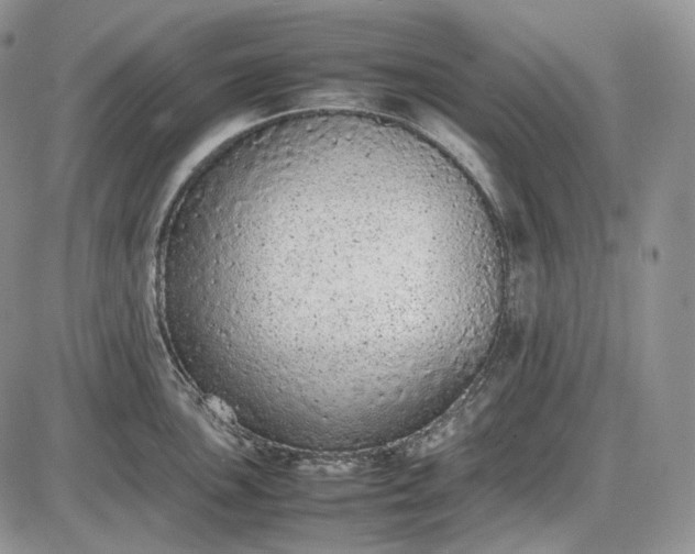 X0000085011051200703191110