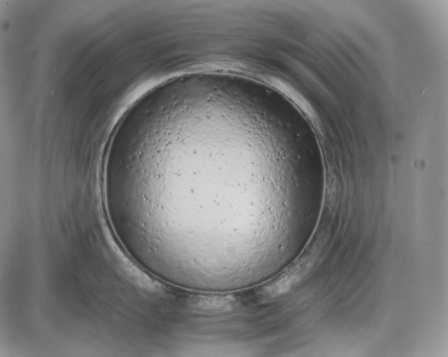 X0000085011055200703191110