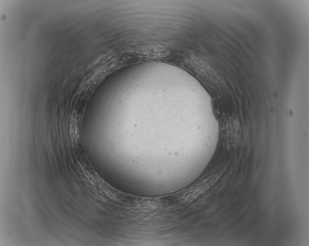 X0000085011058200703191110