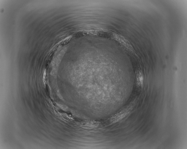 X0000085011060200703191110
