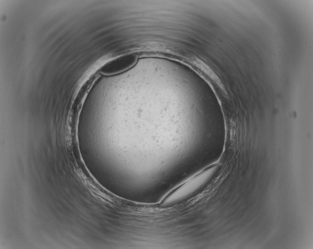 X0000085011068200703191109