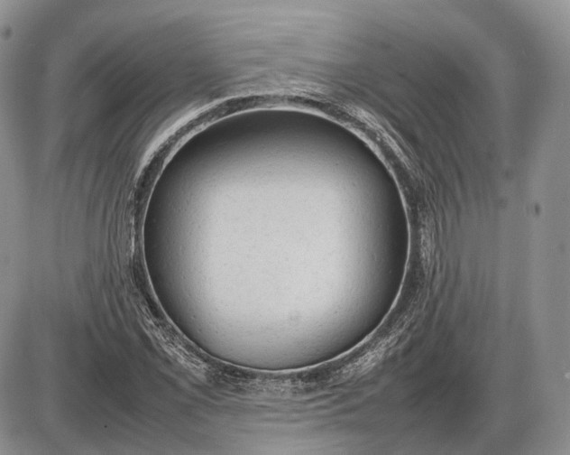 X0000085011069200703191109