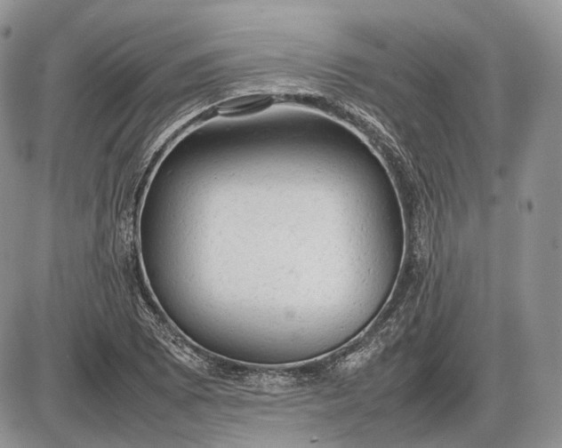 X0000085011073200703191109