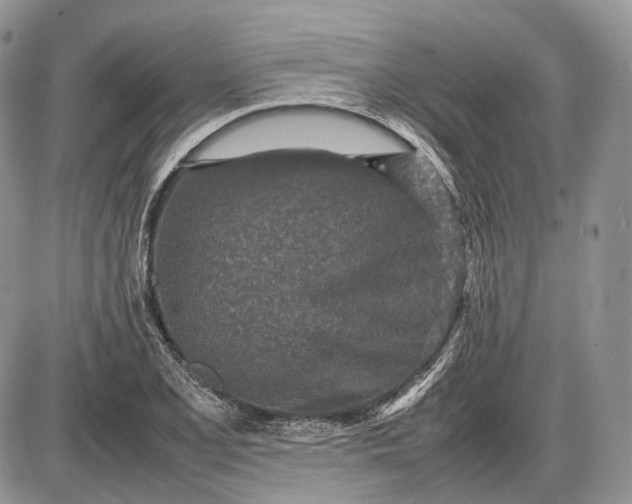 X0000085011077200703191109