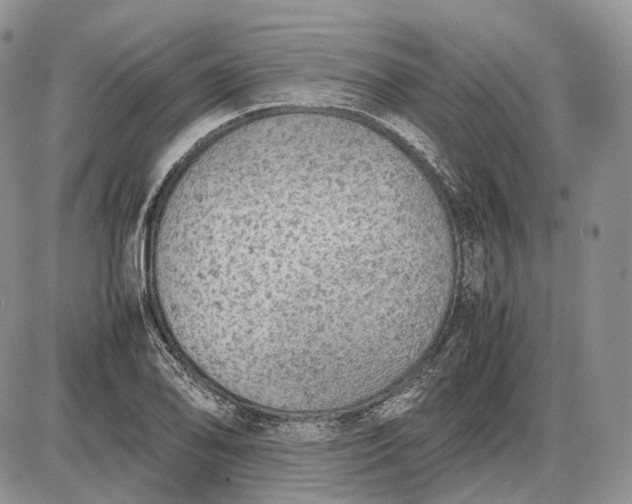 X0000085011078200703191109