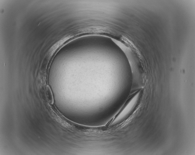 X0000085011081200703191109