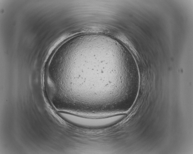 X0000085011083200703191109