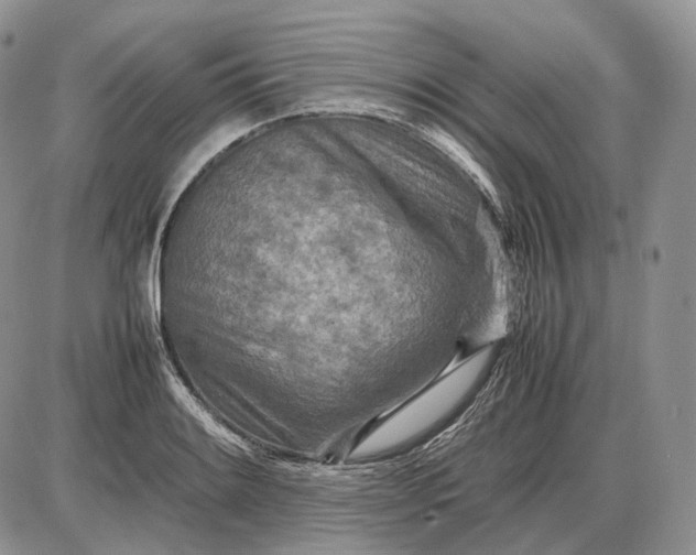 X0000085011084200703191109
