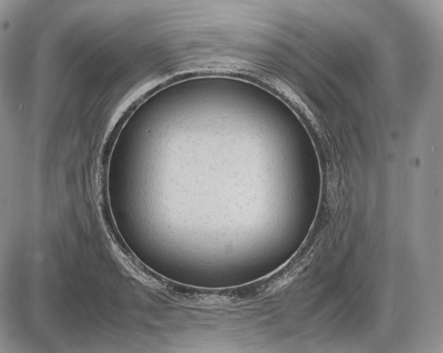 X0000085011085200703191109