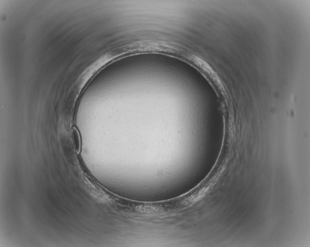 X0000085011089200703191109