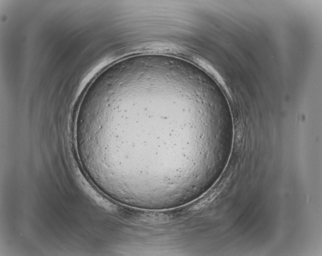 X0000085011091200703191109