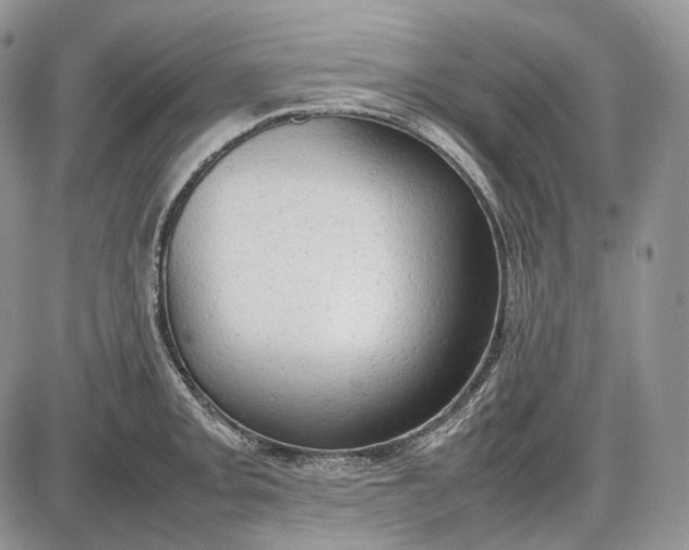 X0000085011093200703191109