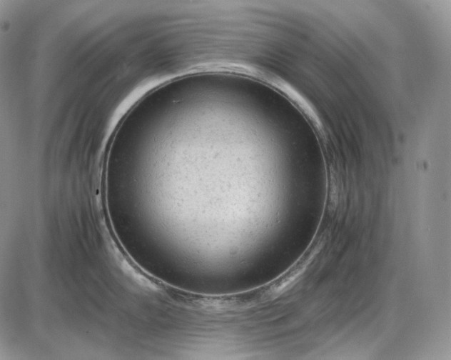 X0000085011102200703191109