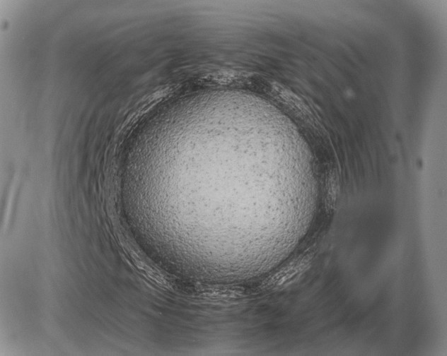 X0000085011105200703191108
