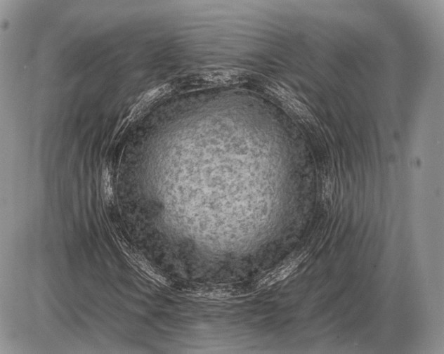 X0000085011106200703191108