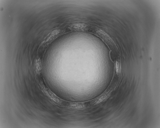 X0000085011107200703191108