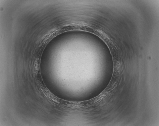 X0000085011110200703191108