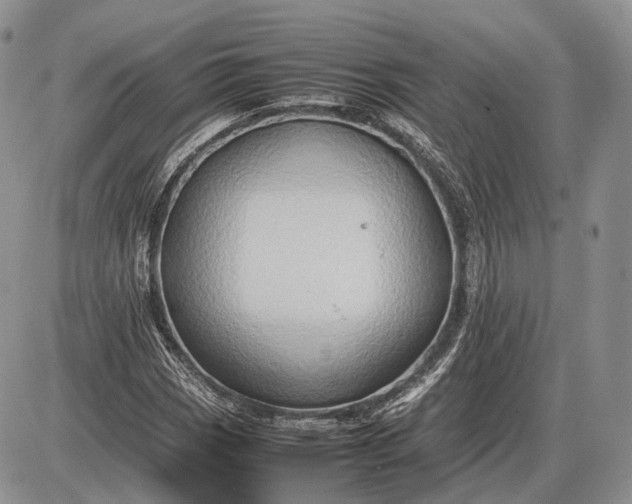 X0000085011113200703191108