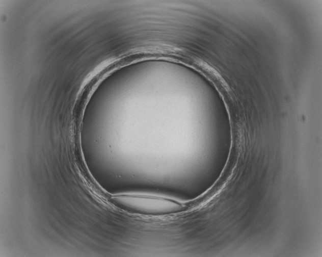 X0000085011114200703191108