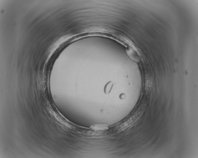 X0000085011116200703191108