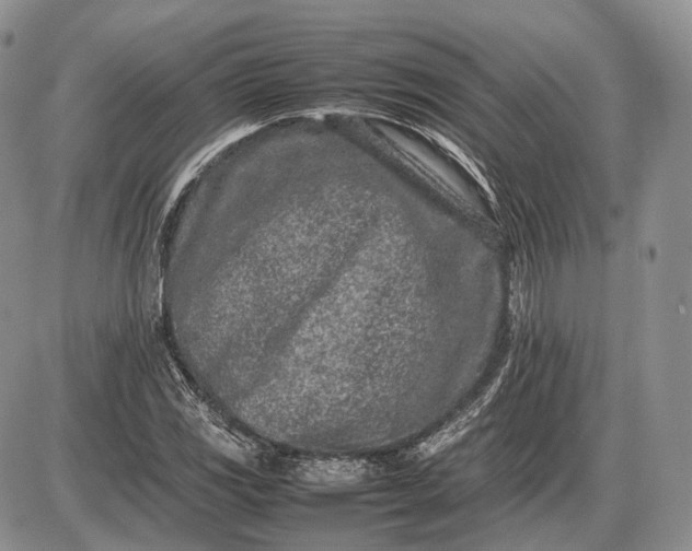 X0000085011117200703191108