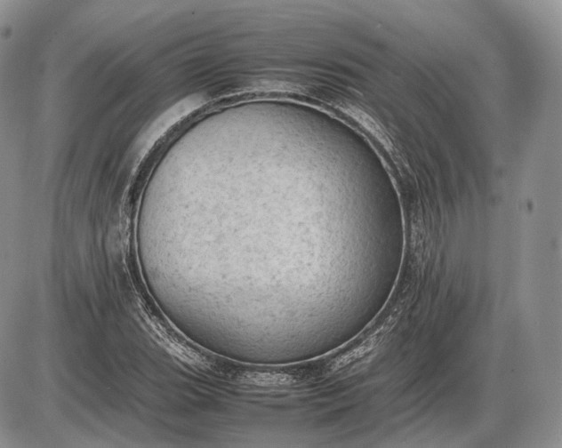 X0000085011119200703191108