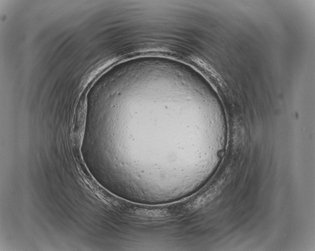 X0000085011121200703191108