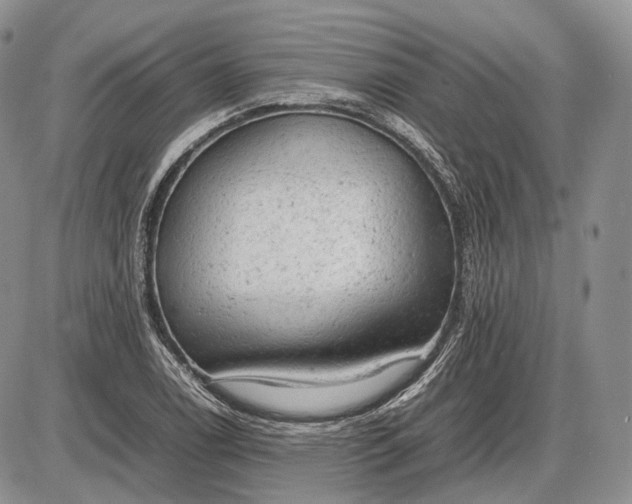X0000085011122200703191108
