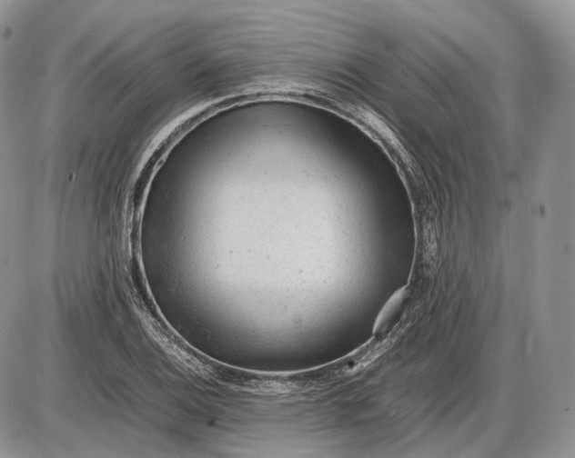 X0000085011124200703191108