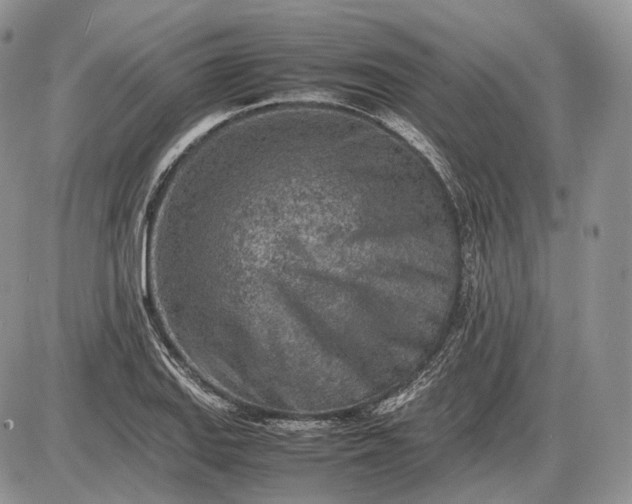 X0000085011127200703191108