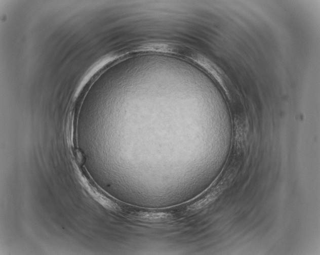 X0000085011131200703191109