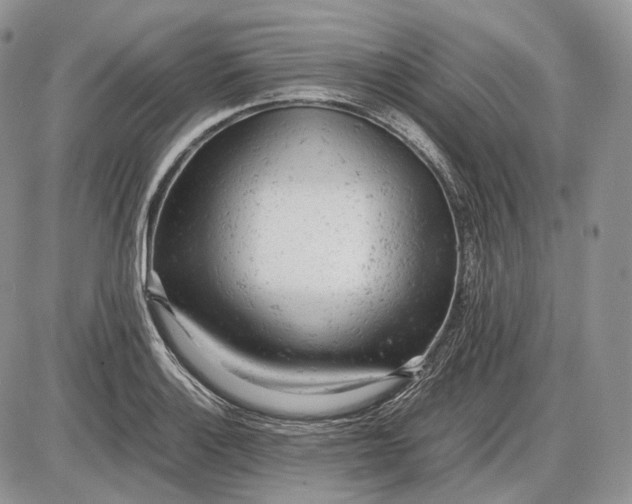 X0000085011132200703191109