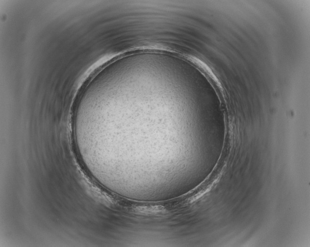 X0000085011133200703191109
