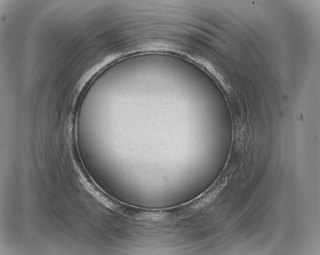 X0000085011134200703191109