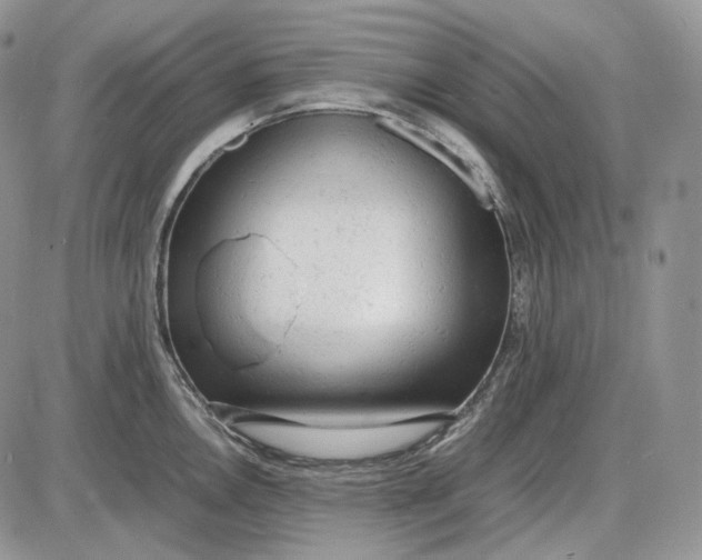 X0000085011146200703191109