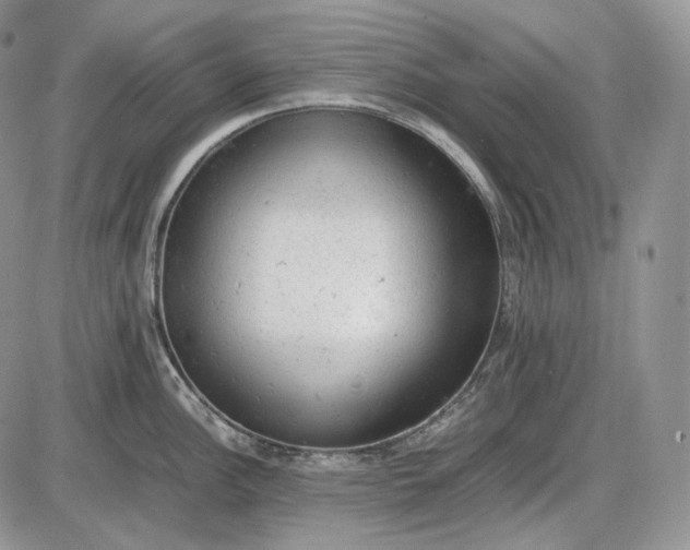 X0000085011148200703191109