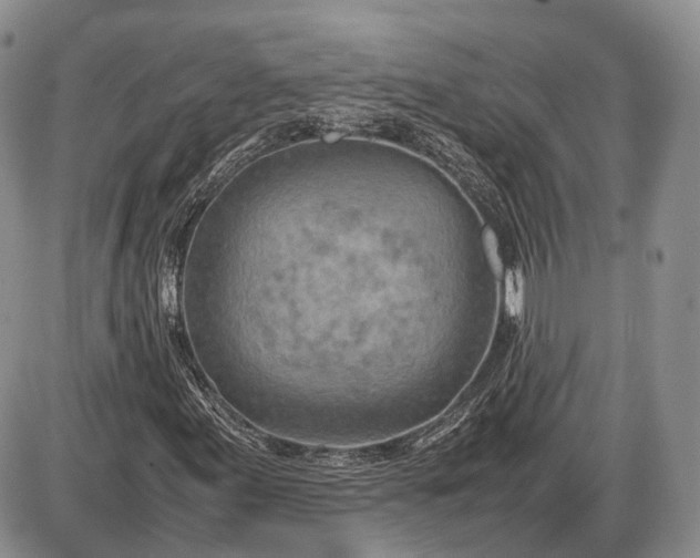 X0000085011155200703191108