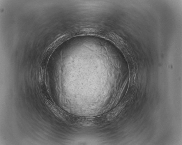 X0000085011158200703191108