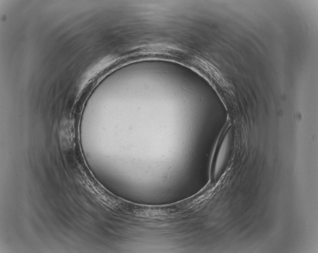 X0000085011164200703191108