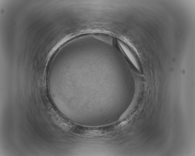 X0000085011173200703191108