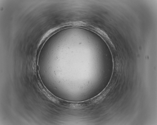 X0000085011176200703191108