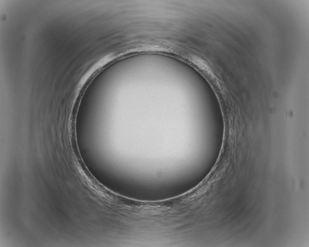 X0000085011181200703191108